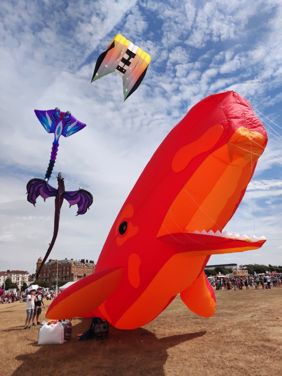 Learning and sharing kite knowledge